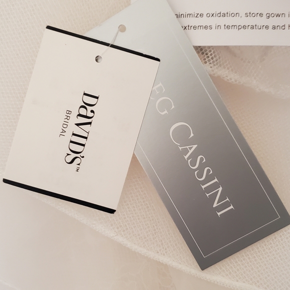 Oleg Cassini Wedding Dress - Picture 7 of 7